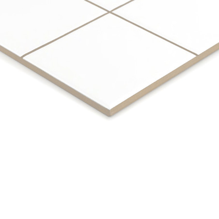 Un azulejo de cerámica blanca con bordes de color marrón claro, con líneas de cuadrícula que la dividen en cuadrados, descansa s