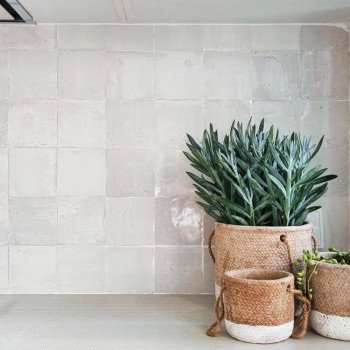Terracotta pots hold green plants, resting on a beige surface against a backdrop of a tiled wall.