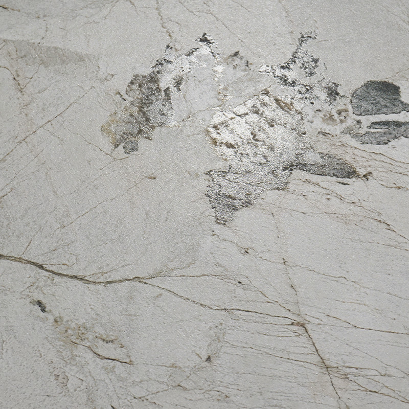 Un carreau beige clair présente des veines fines et sombres et une surface texturée avec des taches argentées irrégulières, ress