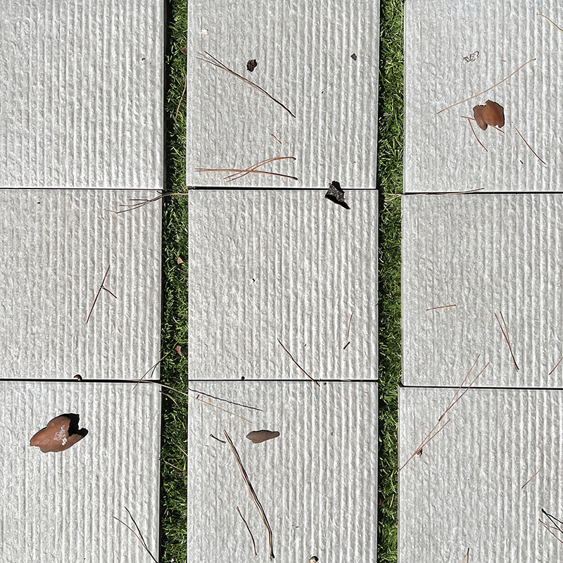 Rechteckige beige Fliesen liegen auf Gras, das mit trockenen Blättern und Tannennadeln übersät ist und einen natürlichen, strukt