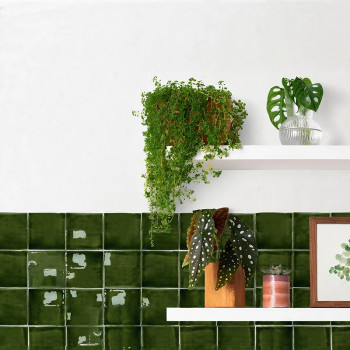 A white wall hosts two shelves with potted plants and decor, above glossy dark green tiles. A cascading plant drapes downward.