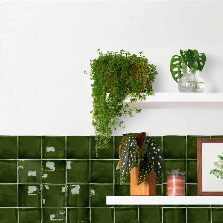 Uma parede branca abriga duas prateleiras com vasos de plantas e decoração, acima de azulejos verdes escuros brilhantes. Uma pla