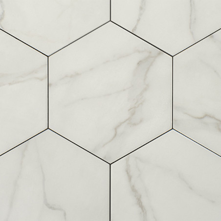 Les carreaux hexagonaux présentent un motif semblable à du marbre avec de subtiles veines grises, créant une apparence sophistiq
