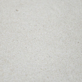 A smooth, pale beige ceramic tile lies flat, showcasing a subtle speckled texture, resembling sand. the surface appears uniform 