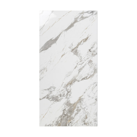 Calacatta Allure 60x120