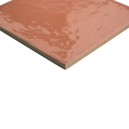 Fiji Corail