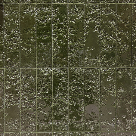 Bahia-26 Vert