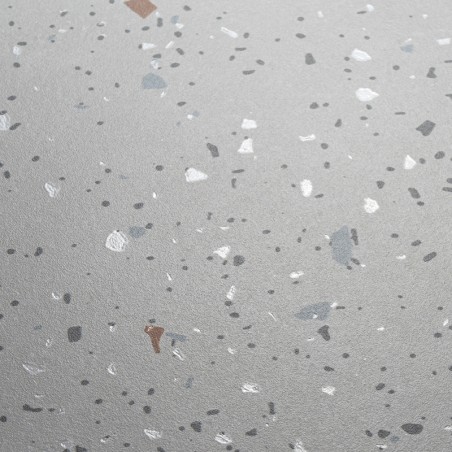 Lucca Gris