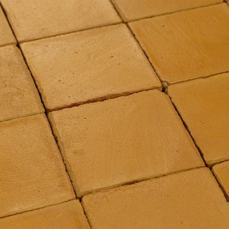 Chroma Ocre 10x10