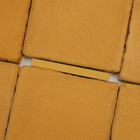 Chroma Ocre 10x10