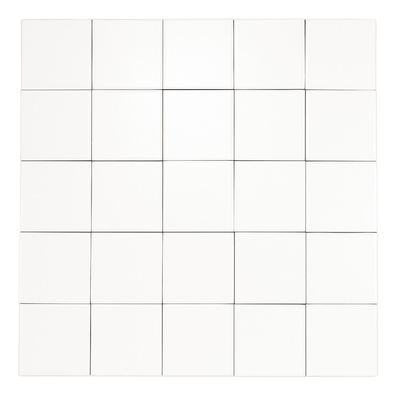 Pure Blanc Mat 10x10